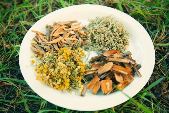 népi jogorvoslatok férgek és paraziták ellen emberben