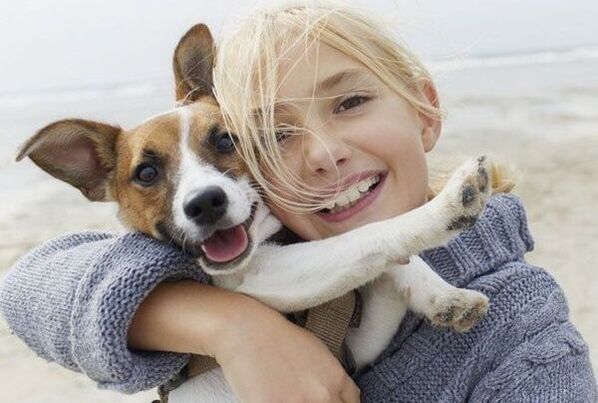 parazita fertőzés kutyából